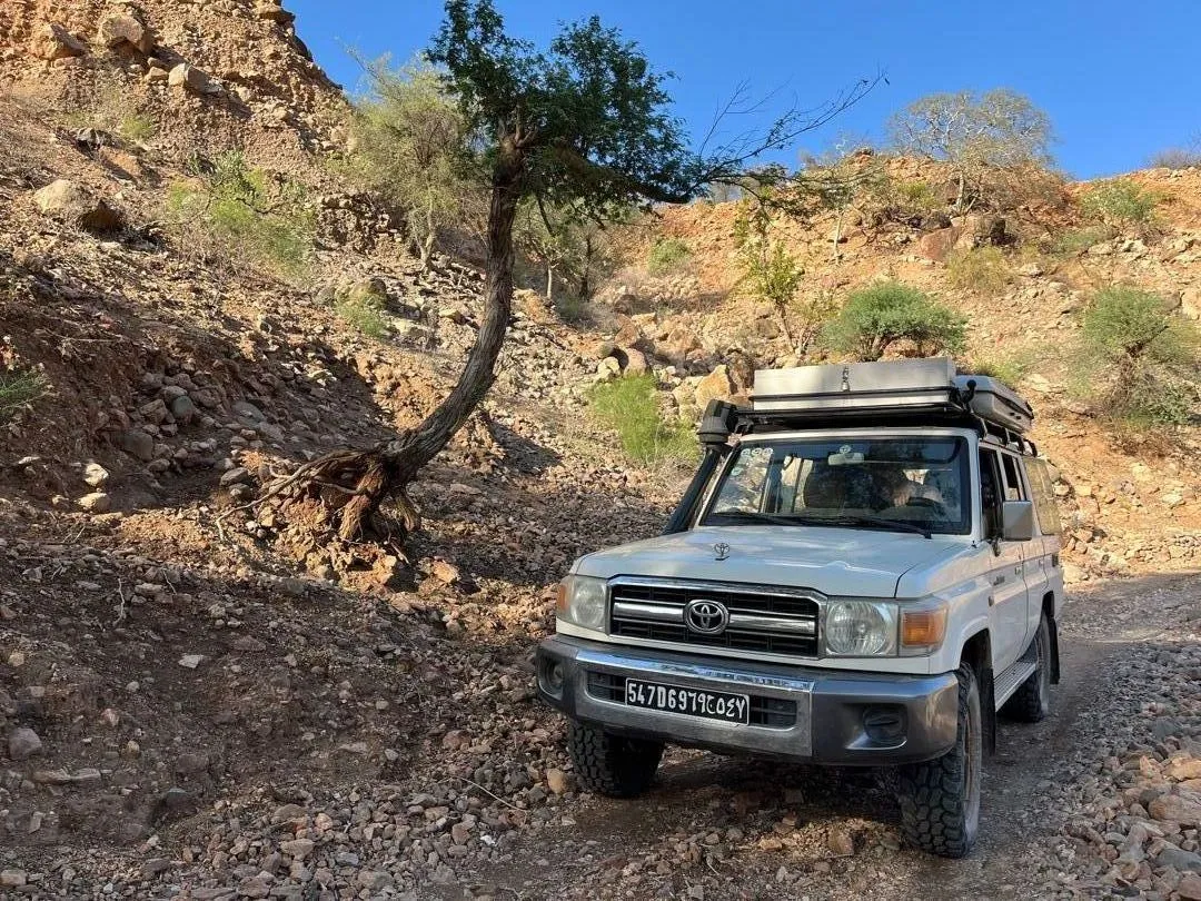 2015 Toyota Land Cruiser listing photo